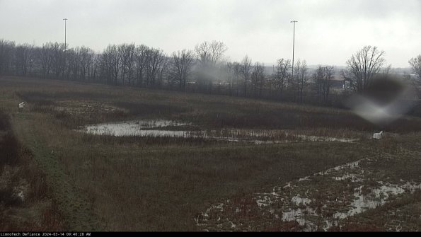 Cell 2_24-03-14_09-40-29-23