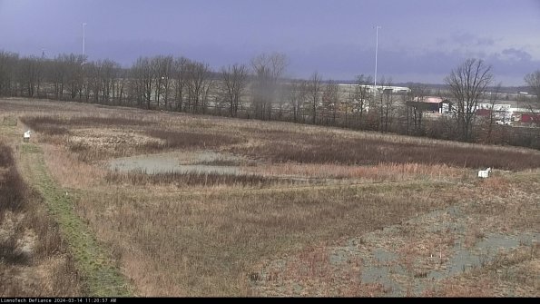 Cell 2_24-03-14_11-20-58-15