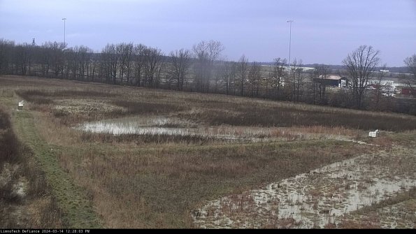 Cell 2_24-03-14_12-28-04-15