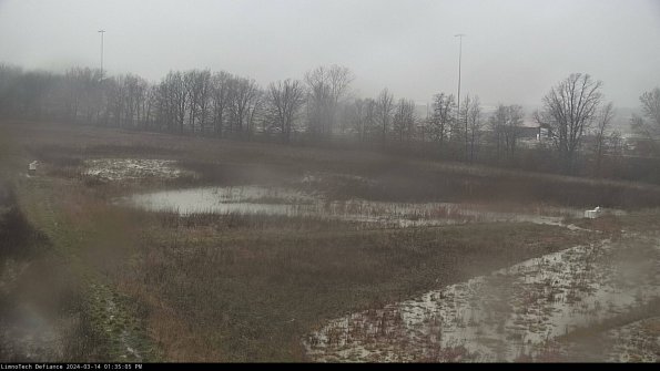 Cell 2_24-03-14_13-35-06-19