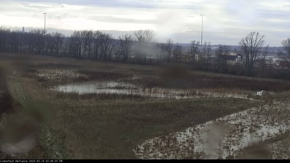 Cell 2_24-03-14_14-08-36-18