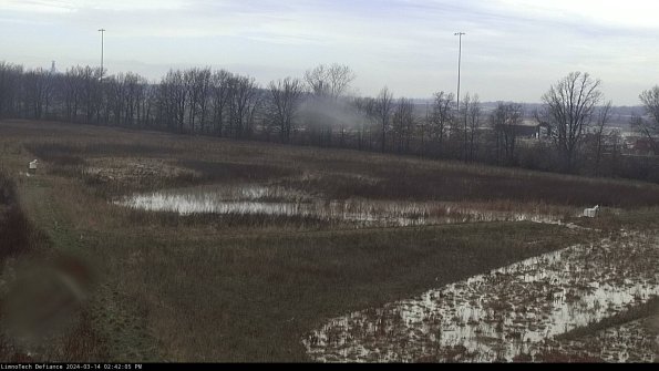 Cell 2_24-03-14_14-42-06-16