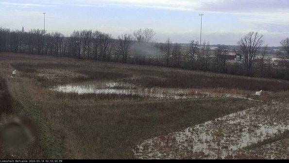 Cell 2_24-03-14_14-55-51-19