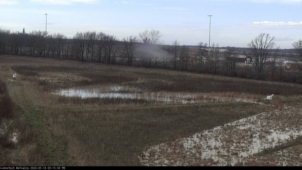 Cell 2_24-03-14_15-15-35-18