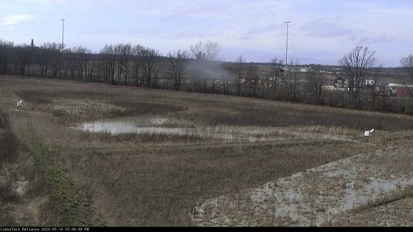 Cell 2_24-03-14_15-49-09-24