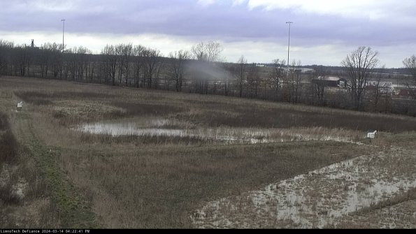 Cell 2_24-03-14_16-22-42-13