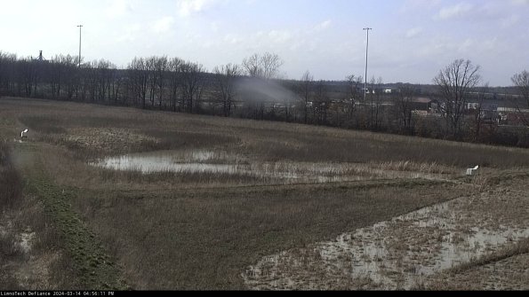 Cell 2_24-03-14_16-56-12-18