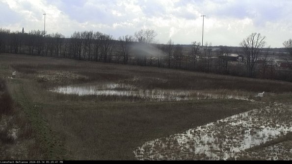 Cell 2_24-03-14_17-29-42-17