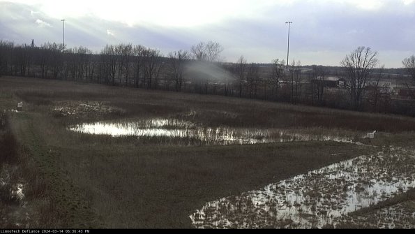 Cell 2_24-03-14_18-36-44-18