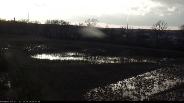 Cell 2_24-03-14_19-10-15-13