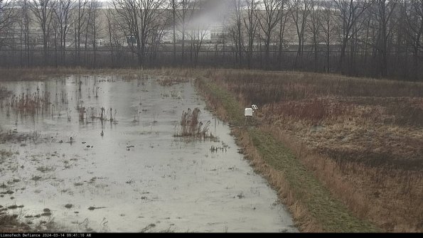 Cell 3 to 4_24-03-14_09-41-11-14