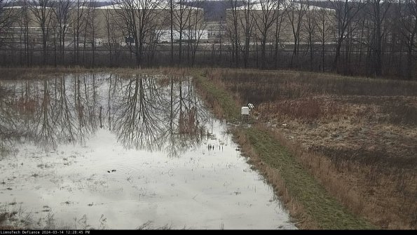 Cell 3 to 4_24-03-14_12-28-46-13