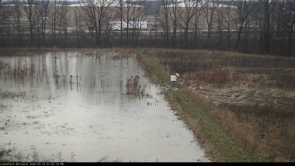 Cell 3 to 4_24-03-14_13-02-15-11