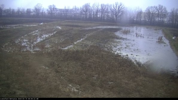 Cell 3_24-03-14_08-00-23-13