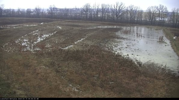 Cell 3_24-03-14_09-40-57-16