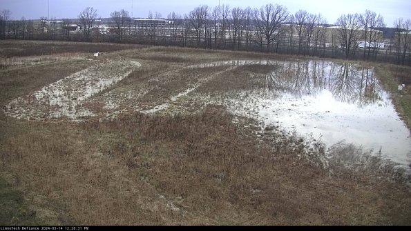 Cell 3_24-03-14_12-28-32-15