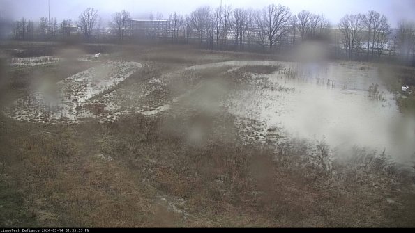 Cell 3_24-03-14_13-35-34-12