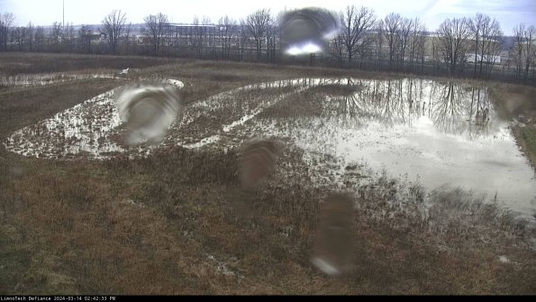 Cell 3_24-03-14_14-42-34-13