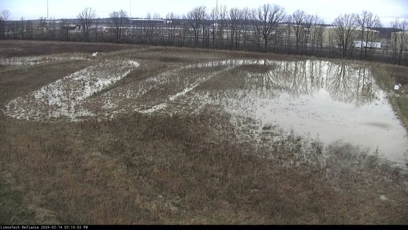 Cell 3_24-03-14_15-16-03-14