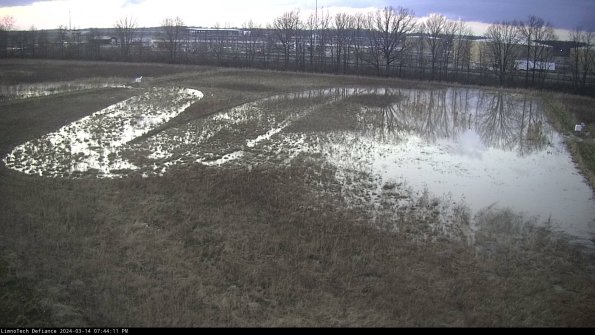 Cell 3_24-03-14_19-44-12-11