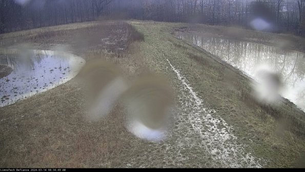 Cell 4 to Basin_24-03-14_08-34-50-14