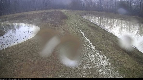 Cell 4 to Basin_24-03-14_09-08-23-13