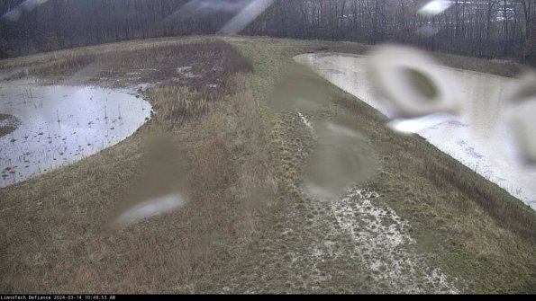 Cell 4 to Basin_24-03-14_10-48-54-15