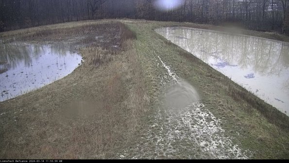 Cell 4 to Basin_24-03-14_11-56-00-16