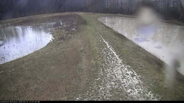 Cell 4 to Basin_24-03-14_12-51-46-15