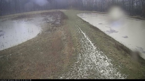 Cell 4 to Basin_24-03-14_13-36-32-15