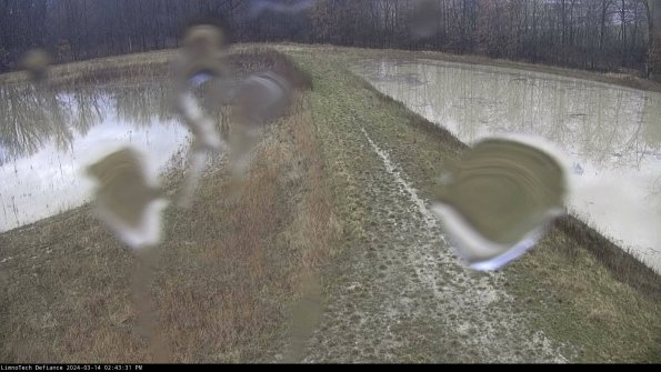 Cell 4 to Basin_24-03-14_14-43-32-12