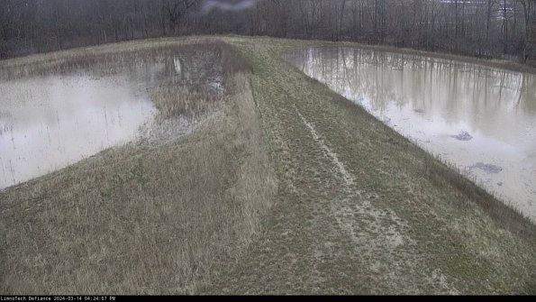 Cell 4 to Basin_24-03-14_16-24-08-18