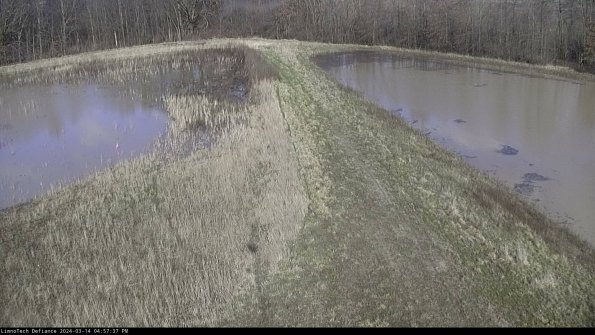 Cell 4 to Basin_24-03-14_16-57-38-14