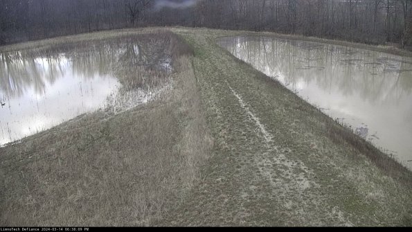 Cell 4 to Basin_24-03-14_18-38-10-17