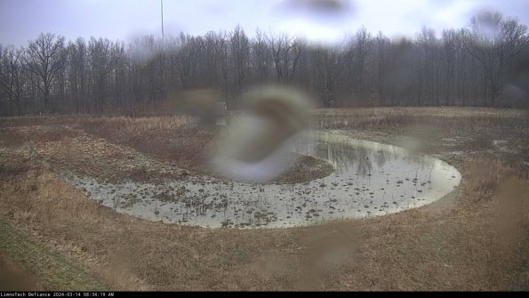 Cell 4_24-03-14_08-34-20-18