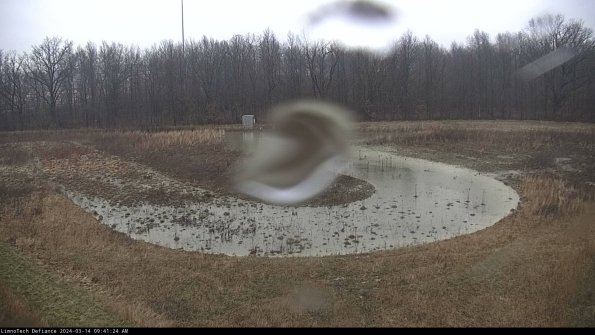 Cell 4_24-03-14_09-41-25-12