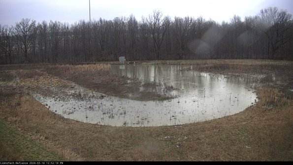 Cell 4_24-03-14_12-52-15-14