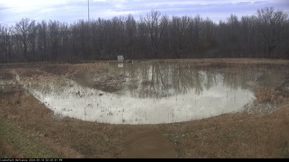 Cell 4_24-03-14_14-43-02-12