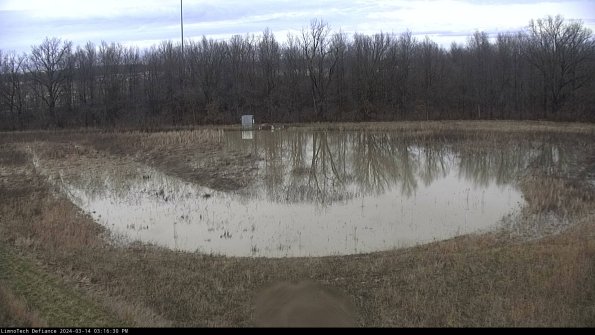 Cell 4_24-03-14_15-16-31-17