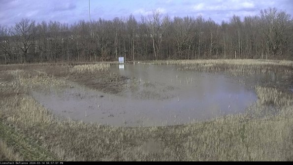 Cell 4_24-03-14_16-57-08-14