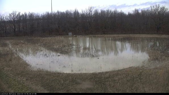 Cell 4_24-03-14_17-30-38-13