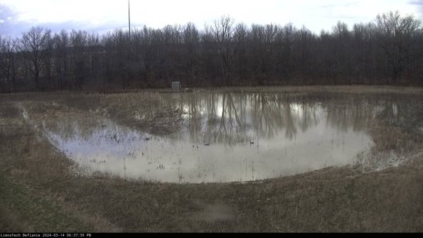 Cell 4_24-03-14_18-37-40-14