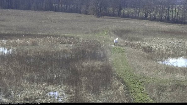 Cell 1 to 2_24-03-15_16-56-21-14