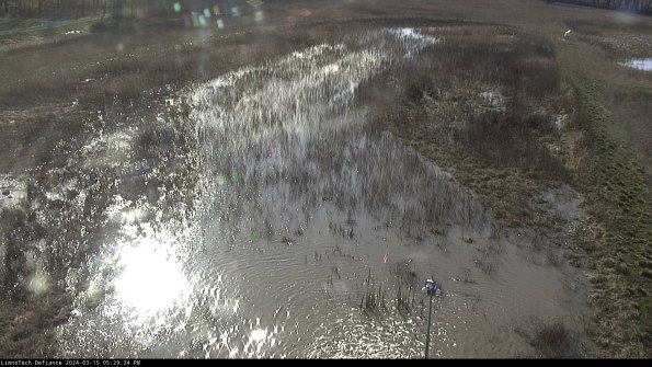 Cell 1_24-03-15_17-29-35-15