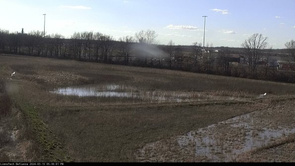 Cell 2_24-03-15_17-30-02-17