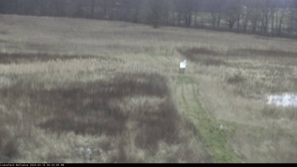 Cell 1 to 2_24-03-16_16-23-10-14