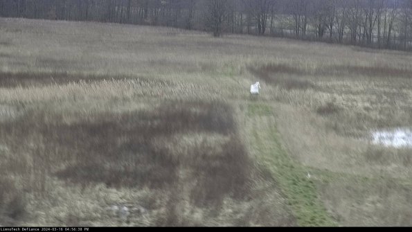 Cell 1 to 2_24-03-16_16-56-39-16