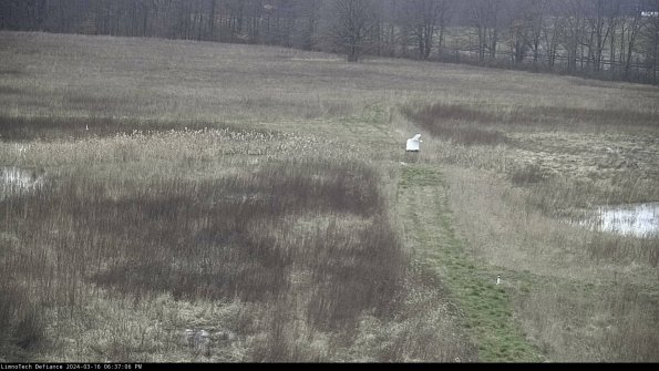 Cell 1 to 2_24-03-16_18-37-07-15