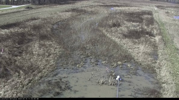 Cell 1_24-03-16_11-55-01-13