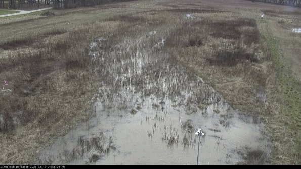 Cell 1_24-03-16_16-56-25-14